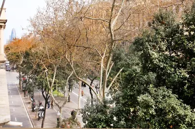 a city street with trees and people walking on the sidewalk at Casa Valeta in Barcelona