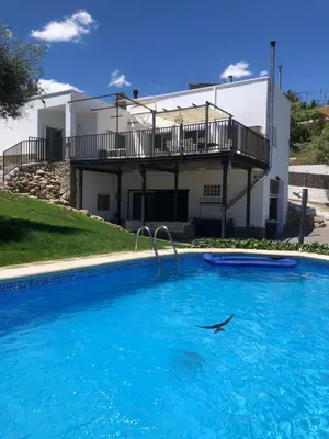 a dolphin in a swimming pool in front of a house at Villa Maioli in Olivella