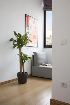 a living room with a couch and a potted plant at Stay U-nique Apartments Villarroel in Barcelona