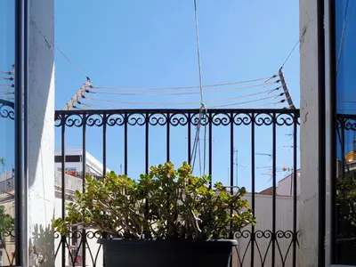 a plant in a pot sitting on a balcony at Stay U-nique Apartments Monec in Barcelona