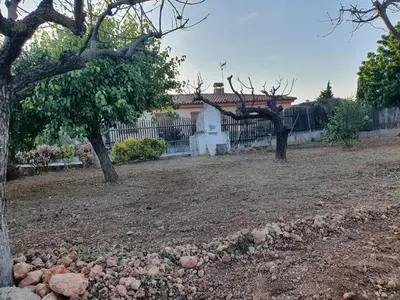 a yard with two trees and a fence at Vino que del Cielo Vino. Alt Penedès (País del Cava) Barcelona in San Quintín de Mediona