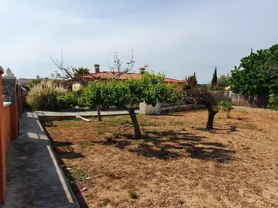 a garden with two trees in a yard at Vino que del Cielo Vino. Alt Penedès (País del Cava) Barcelona in San Quintín de Mediona