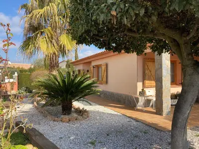 a house with a palm tree in front of it at Vino que del Cielo Vino. Alt Penedès (País del Cava) Barcelona in San Quintín de Mediona