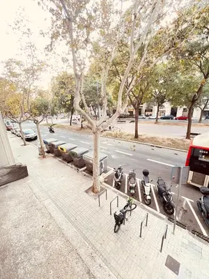 a row of motorcycles parked next to a street at Apartamentos Tarradellas Sants Estació in Barcelona