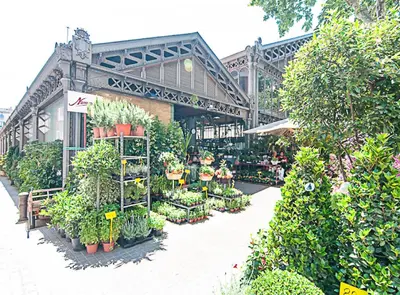 a greenhouse filled with lots of plants and flowers at Picasso Suites in Barcelona