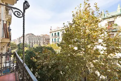 a tree in the middle of a city with buildings at Stay U-nique Apartments Consell in Barcelona