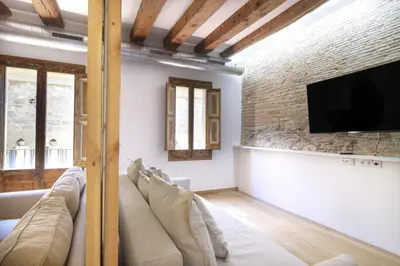 a living room with a couch and a flat screen tv at Bellafila Gothic Terrace in Barcelona