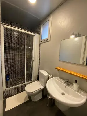 a bathroom with a toilet and a shower and a sink at Esparteria 2 in Barcelona