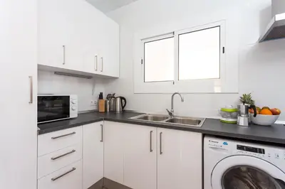 a white kitchen with a sink and a dishwasher at Sagrada Familia Butterfly in Barcelona