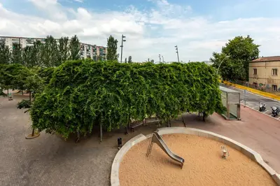 a large green tree on the side of a street at Barca 3 New Lovely aprtment Near Beach in Sant Adria de Besos