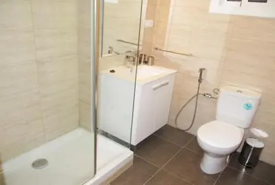 a bathroom with a toilet and a shower and a sink at Paseo de Gracia Apartments in Barcelona