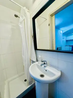 a bathroom with a sink and a mirror and a shower at 08 Apartament lof 3 2 in Barcelona