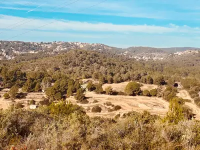 a view of a valley with trees and a mountain at Charming apartment in a duplex with garden & balcony in Cunit