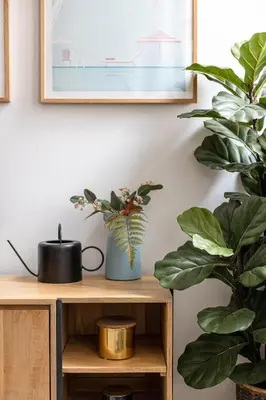 a table with a plant and a picture on the wall at Livefull 2bdr In Trendy Gracia in Barcelona