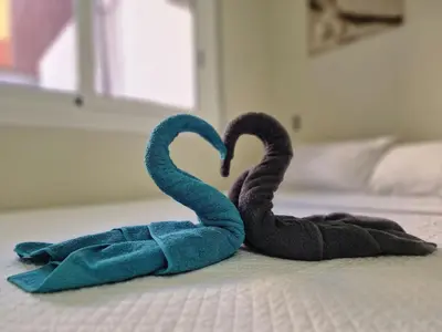two swans making a heart on a bed at Barcelona 2 Habitaciones in Hospitalet de Llobregat