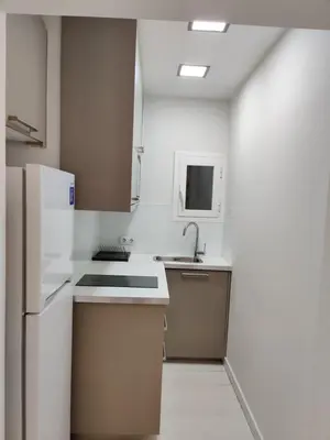 a kitchen with a sink and a refrigerator at Family apartment close to Parc Güell in Barcelona