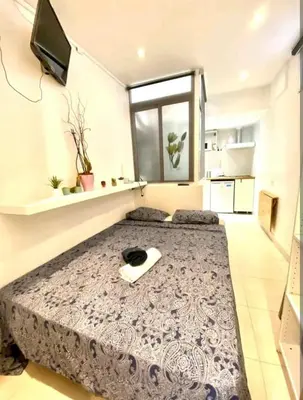 a bedroom with a large bed in a room at 01 Apartamento 2 ,3 in Barcelona