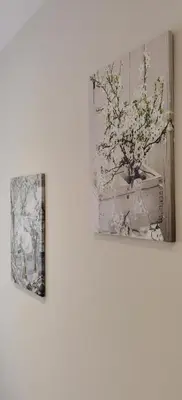 two pictures of flowers in a vase on a wall at BARCELONA DUPLEX DE 3 HABITACIONES in Hospitalet de Llobregat