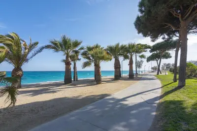 a sidewalk with palm trees on the beach at HomeHolidaysRentals Benoit - Costa Barcelona in Pineda de Mar