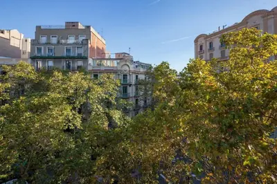 a group of trees in front of tall buildings at The Collection Barcelona - Plaza Urquinaona Cozy and comfortable in Barcelona