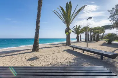 a bench on a beach with palm trees and the ocean at HomeHolidaysRentals Milos - Costa Barcelona in Pineda de Mar