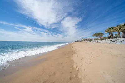 a sandy beach with palm trees and the ocean at HomeHolidaysRentals Milos - Costa Barcelona in Pineda de Mar