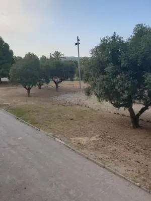 a field with trees and a street light next to a road at Appartement 6 Personnes - L'arboc in Arbós