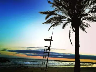 a palm tree sitting on the beach with the sunset at Ca la Carmeta in Cunit