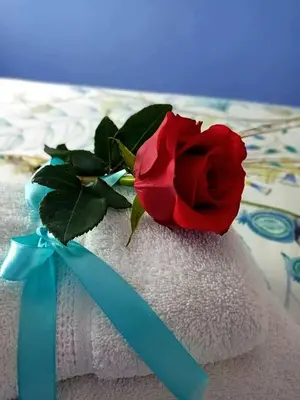 a red rose on top of towels with a blue ribbon at Ca la Carmeta in Cunit
