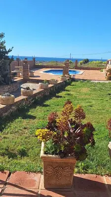 a garden with potted plants on the grass at Masia St Salvador 1582 in Cubelles