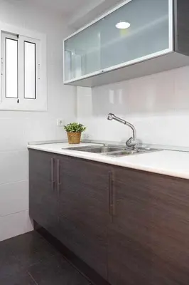 a kitchen with a sink and a plant on the counter at SAGRADA FAMILIA VIEWS Nos preocupa su seguridad. in Barcelona