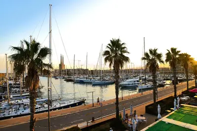 a marina with boats in the water and palm trees at Can Mir Badalona in Badalona