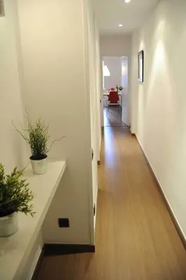 a hallway with two potted plants in a building at Your Home in Barcelona Apartments in Barcelona