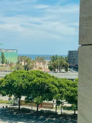 a large green tree in front of a building at Forum de Barcelona Sea View Apartment with Garage Parking in Sant Adria de Besos