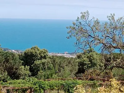 a view of the ocean from a hill with trees at Apartamentos Can bruguera 3 in Mataró