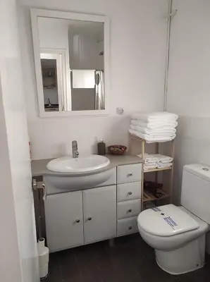 a bathroom with a sink and a toilet and a mirror at Apartamentos Can bruguera 3 in Mataró