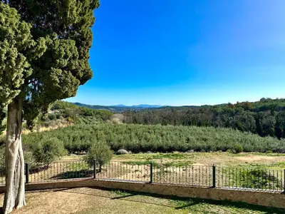 a view of a field with a fence and trees at Masia Can Viver - Olive oil tourism B&B in Bigues i Riells