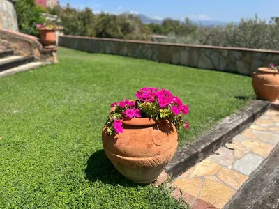 a pot with pink flowers sitting on the grass at Masia Can Viver - Olive oil tourism B&B in Bigues i Riells