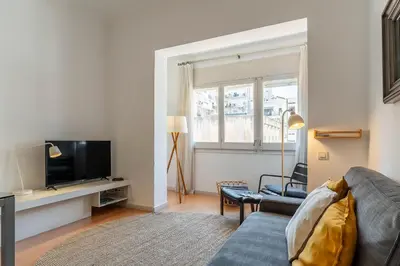 a living room with a couch and a tv at Canela Homes BARCELONA CASP in Barcelona
