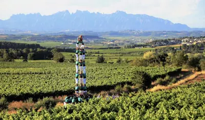 a person standing on top of a tower in a field at Tina de Vila, en la capital del vino in Vilafranca del Penedès