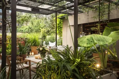 an outdoor patio with plants and a table at Alexandra Barcelona Hotel, Curio Collection by Hilton in Barcelona