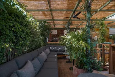 a room filled with lots of plants and a couch at Hotel Pulitzer Barcelona in Barcelona