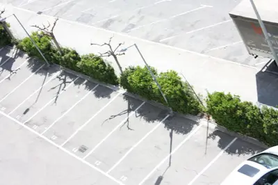 an overhead view of a sidewalk with a row of plants at Holiday Inn Express Molins de Rei by IHG in Molins de Rei