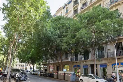 a city street with trees and cars and a building at Bright Apt with Private Terrace in Sant Antoni in Barcelona