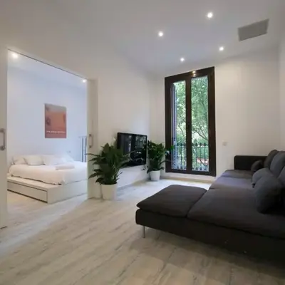 Paseo de Gracia Apartments
