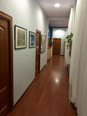 a hallway with doors and paintings on the walls at Hotel Pelayo in Barcelona