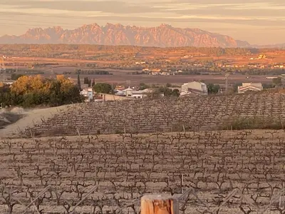 a view of a stone field with mountains in the background at Cal Castlà in La Granada