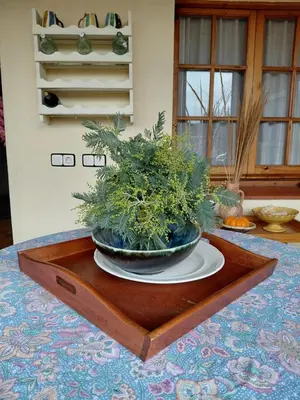 a plant in a bowl on a plate on a table at Chalet Entre Parques Naturales in Vallgorguina