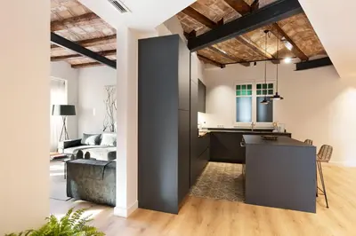 a kitchen and living room with a large black door at Enjoy Apartments La Riera One in Barcelona