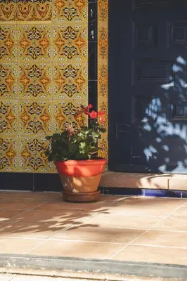 a potted plant sitting in front of a door at Casa con encanto in Corbera de Llobregat